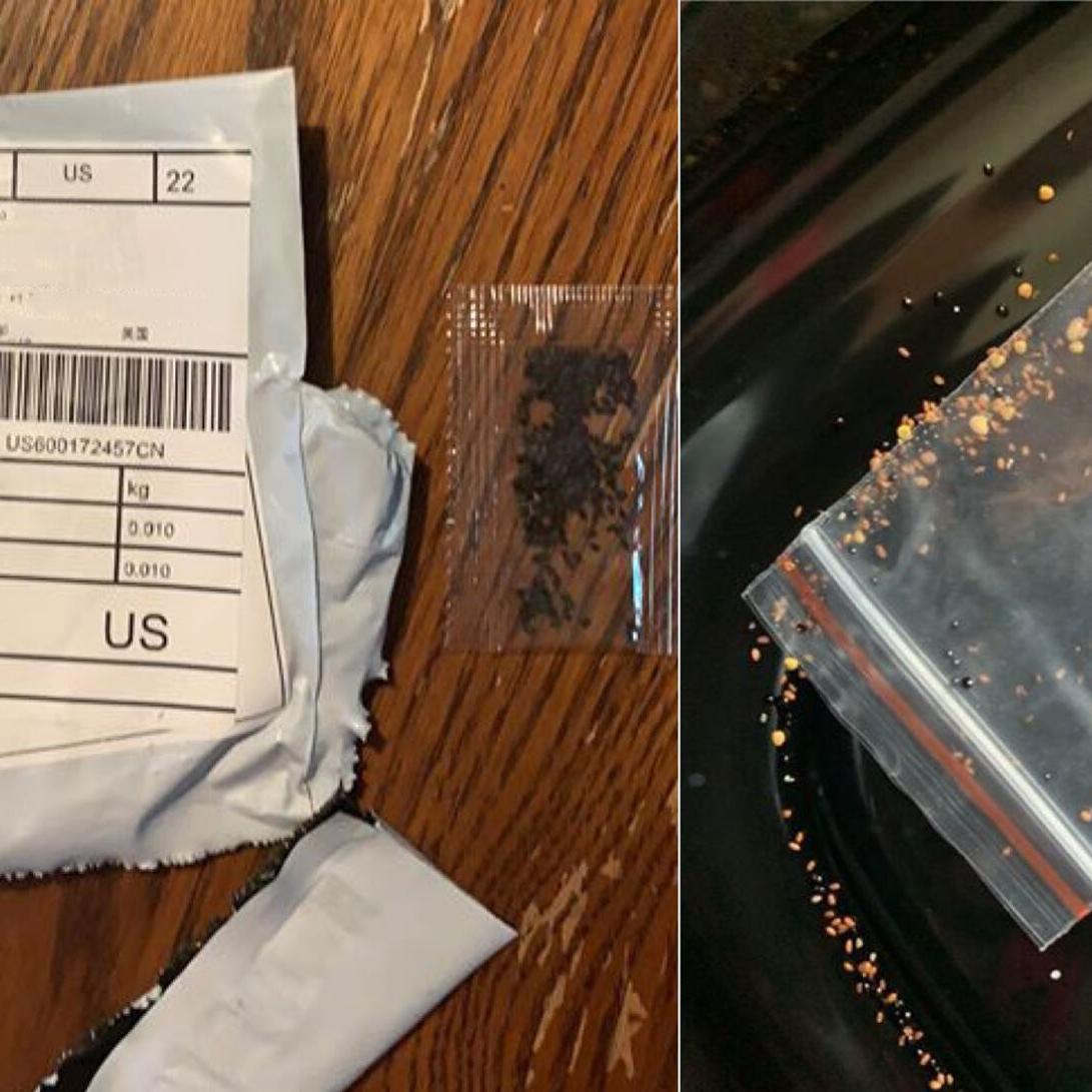 Mysterious seeds from China are appearing in American mailboxes— including Oklahoma